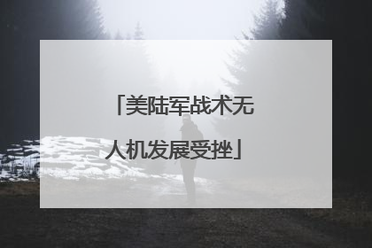 美陆军战术无人机发展受挫